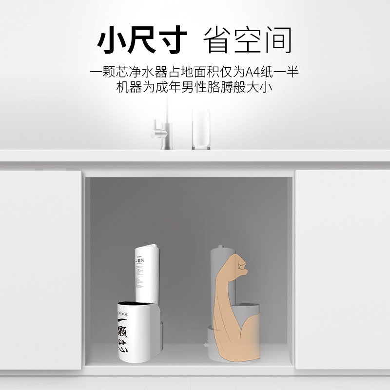 傢(jia)樂事一(yi)顆芯淨水器(qi)F1011